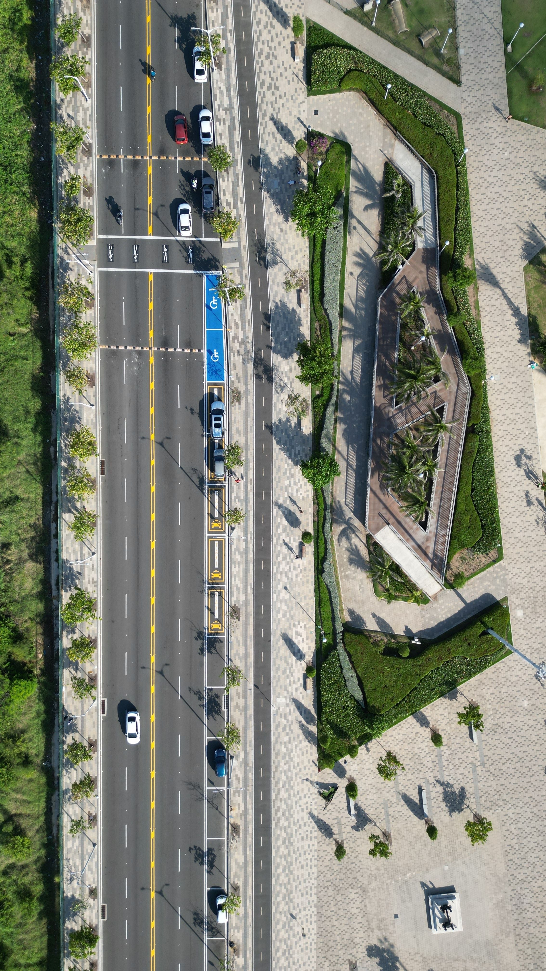 Vista aérea de una avenida arborizada junto a un parque en Barranquilla